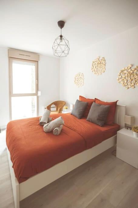 Le Cocon Manceau Apartment Льо Ман Екстериор снимка